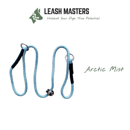 Premium Slip Collar - Durable, Safe, and Effective Training Tool for Dogs