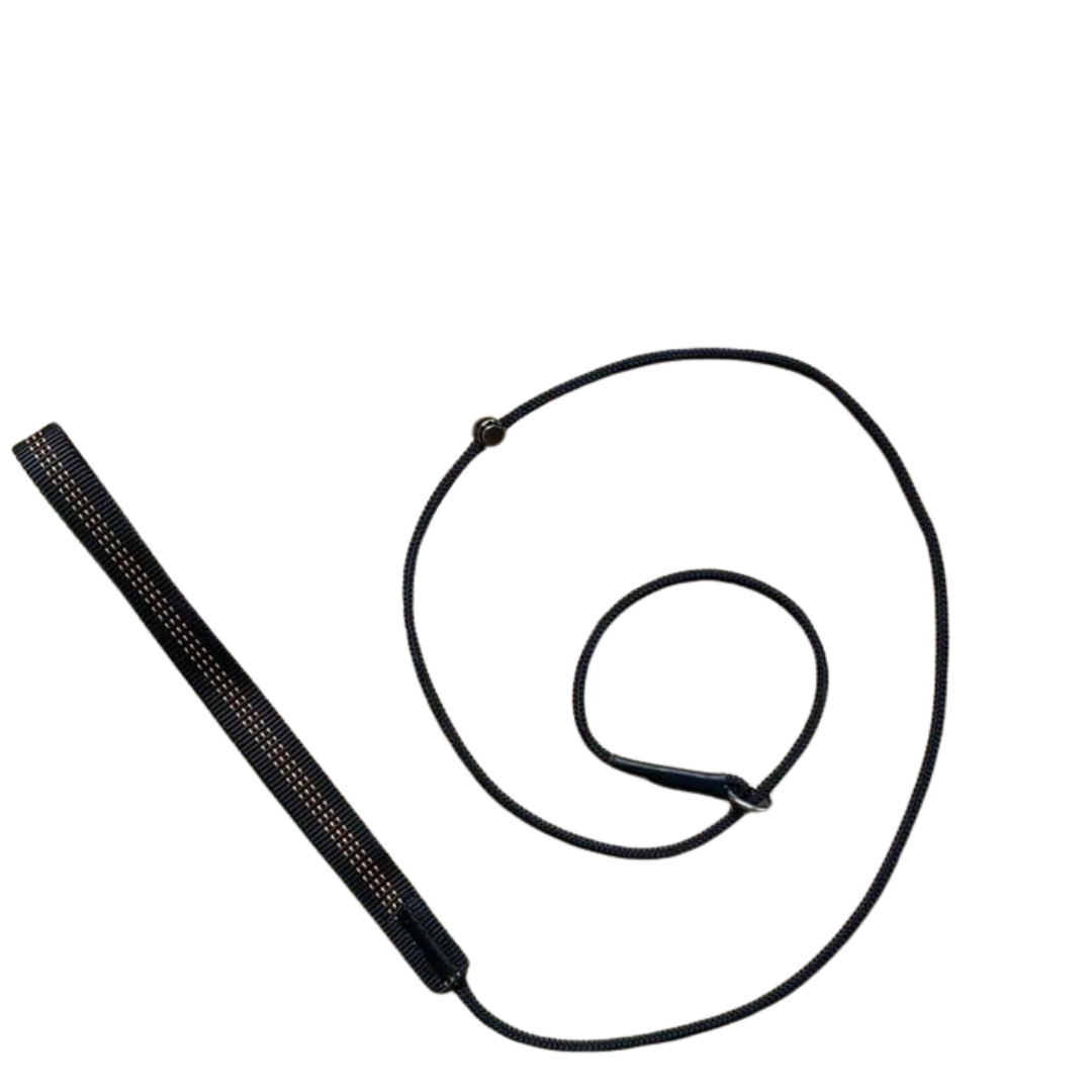 Heavy-Duty Slip Lead - Superior Control and Comfort for Dog Training