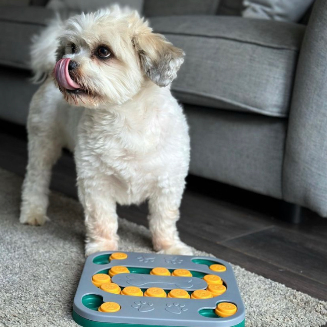 Pet Enrichment Puzzle